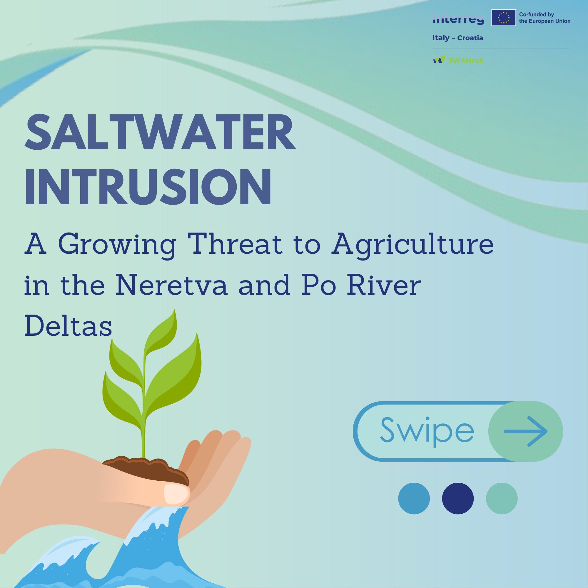 Saltwater description