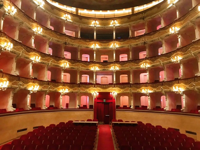 Teatro Dal Monaco Interno