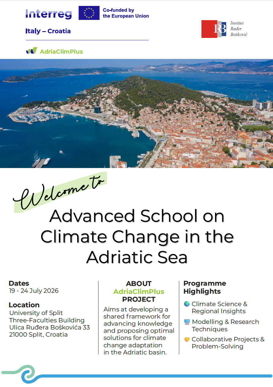 Advanced Summer School Poster
